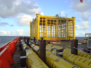 shell 01